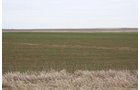 Property photo 7 - Kansas Land Auction - 960 Acres - 7 Farms in 3 Counties